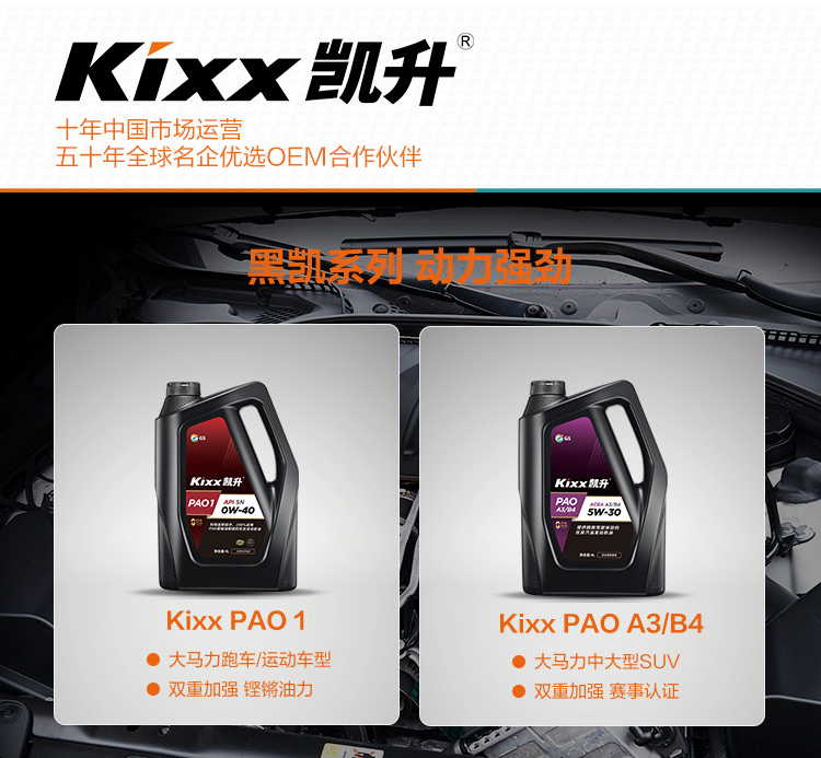GS (Kixx) 凱升PAO全合成機(jī)油 5W-30 C3級 黑凱系列 4L-第9張圖片-鄭州市冠恒貿(mào)易有限公司【官方網(wǎng)站】-車用潤滑油服務(wù)專家